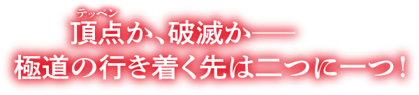 頂点か、破滅か―　極道の行き着く先は二つに一つ！