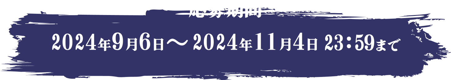 応募期間：2024年9月13日～2024年11月3日23:59まで