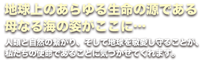 地球上のあらゆる生命の源である母なる海の姿がここに…