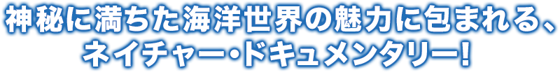 神秘に満ちた海洋世界の魅力に包まれる、ネイチャー・ドキュメンタリー！