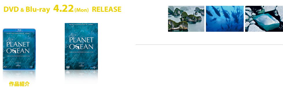 DVD & Blu-ray  4.22 (Mon)  RELEASE